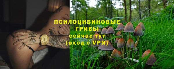 экстази Переславль-Залесский