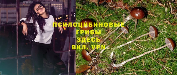 экстази Переславль-Залесский