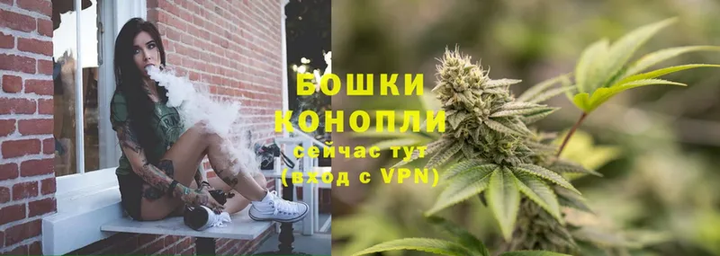 Бошки марихуана OG Kush  гидра сайт  Агидель  закладки 